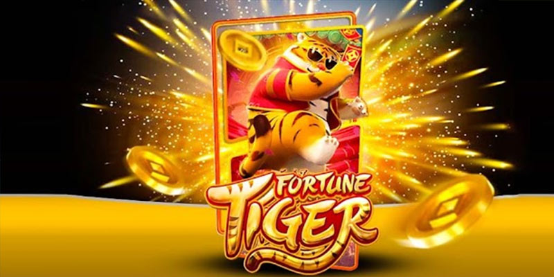 Quem é o Fortune Tiger 5hbetbet.Com
